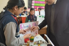 class-4-science-experiment-pic-7